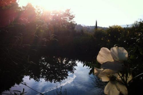 Podere Cerreto – Photos 5