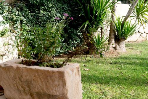 a large stone planter with plants in a yard at Hotel Salento in Specchia