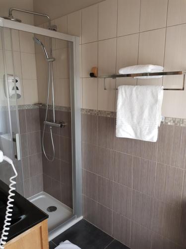 a bathroom with a shower with a sink and a toilet at LOGIS - Château de la Motte - Hôtel & Restaurant in Liessies