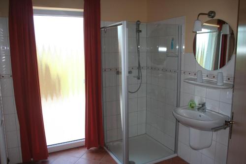 bagno con doccia, lavandino e specchio di Schwantje Mirow 6a a Mirow