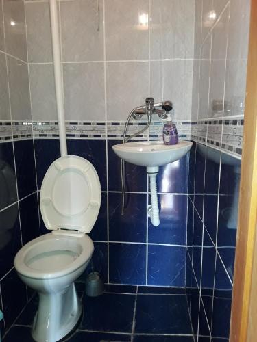 a bathroom with a toilet and a sink at House Stijepovic in Petrovac na Moru