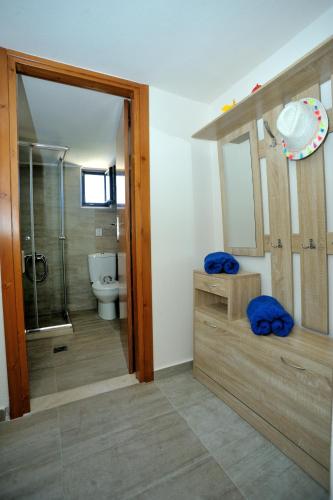 a bathroom with a toilet and a glass shower at Pithari Villa in Agios Dimitrios