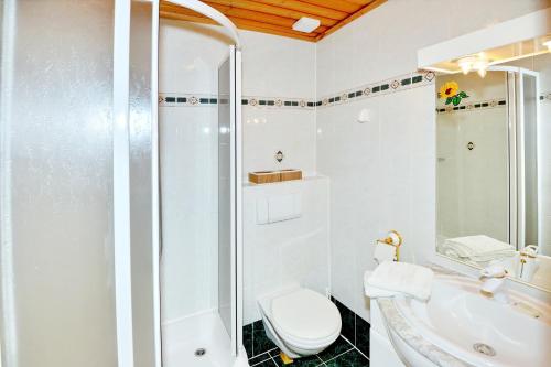 a bathroom with a shower and a toilet and a sink at Dicktlhof in Ebene Reichenau