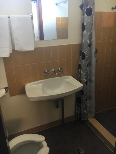a bathroom with a sink and a toilet at A Railway Lodge in Taree