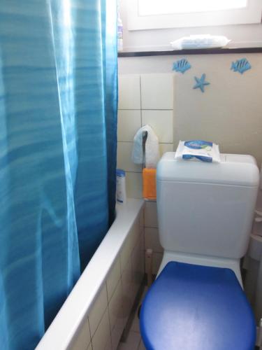 ヴィンタートゥールにあるRuhiges Gästezimmerのバスルーム(青いシャワーカーテン、トイレ付)