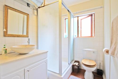uma casa de banho com um lavatório, um WC e um chuveiro em Paradise View Apartment em Knysna