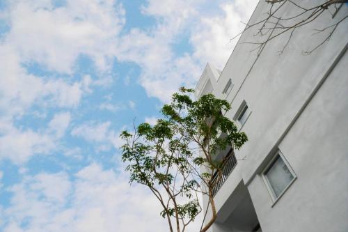a tall white building with a tree in front of it at Tiin Tinn - Rivershore B&B in Taitung City
