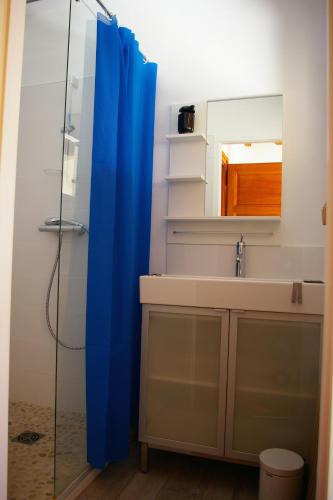 La salle de bains est pourvue d'un rideau de douche bleu à côté d'un lavabo. dans l'établissement Angel Services - Le Port, à Saint-Jorioz