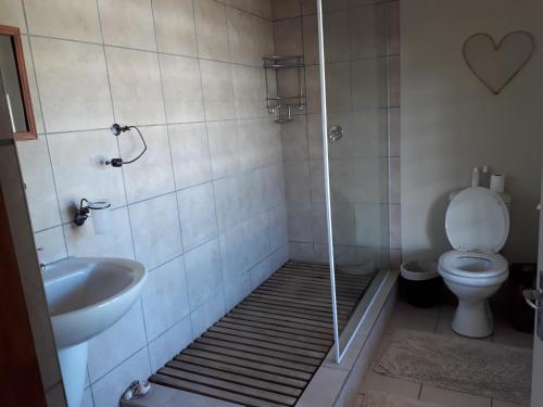 a bathroom with a shower with a toilet and a sink at The Upper Deck Apartment in Swellendam