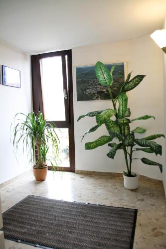 a room with two potted plants in front of a door at Hotel Garni Italia in Bühl