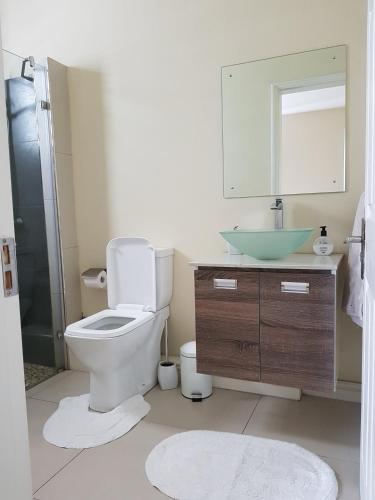 a bathroom with a toilet and a sink and a mirror at Sugar Reef Apartment in Flic-en-Flac