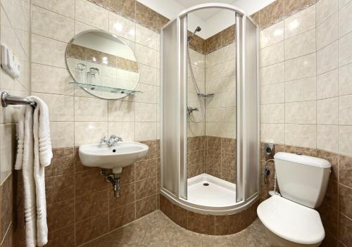 a bathroom with a toilet and a sink and a shower at Hotel Panská in Bechyně