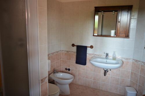 a bathroom with a sink and a toilet and a mirror at Colja Jozko Agriturismo in Samatorza