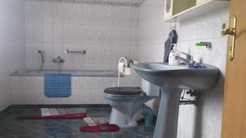 y baño con aseo y lavamanos. en Villa Lotti, en Olbersdorf