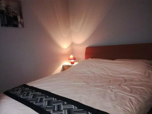 a bedroom with a white bed with a red headboard at Apartment Natasa in Vršac