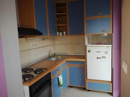 Una cocina o zona de cocina en Apartman Natasa 1