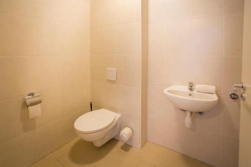a bathroom with a toilet and a sink at Blue Bay Apartments in Sint Michiel
