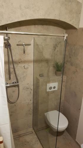 a bathroom with a shower with a toilet and a glass door at Miniapartment am Dalberg in Aschaffenburg