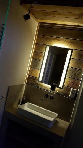 a bathroom with a sink and a mirror at Miniapartment am Dalberg in Aschaffenburg