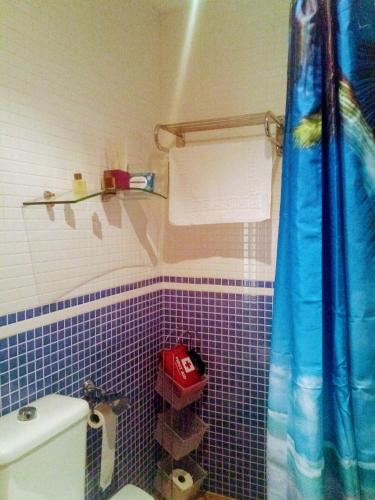 a bathroom with a toilet and a blue tiled wall at Al-Andalus Thalassa Home Star in Vera