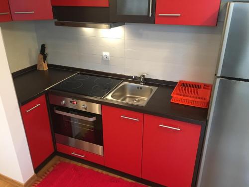 Kuchyň nebo kuchyňský kout v ubytování Apartment Tihana
