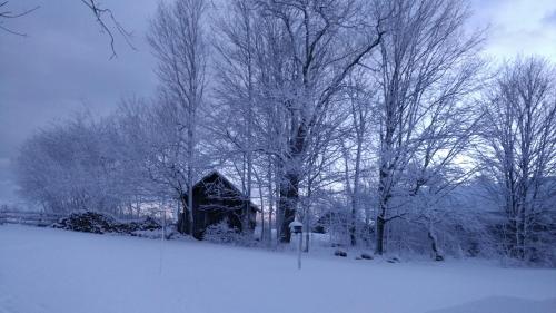 a snow covered yard with trees and a cabin at Benjamin Prescott Inn in Jaffrey