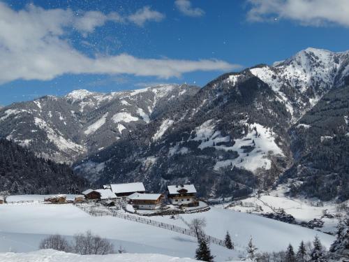 Brandebengut – Photos 2