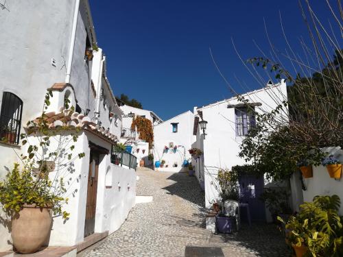an alley with white buildings and potted plants at Casa Ayo in Frigiliana