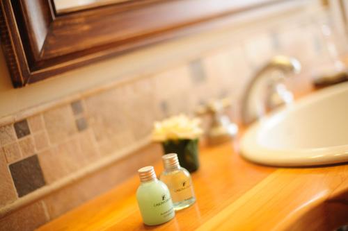 two bottles of soap sitting on a counter next to a sink at Casona Del Alto in San Martín de los Andes