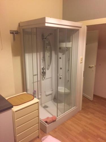 a bathroom with a shower in a cabinet at B&B House Caesekin in Diksmuide