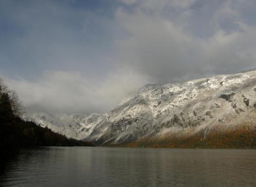Gallery image of BOOA Rooms Irena in Bohinj