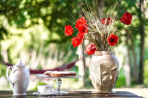 a table with a vase with red flowers and a piece of cake at Molino Monacelli Country House in Fano