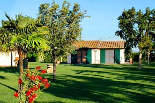 a house with a palm tree and a building at Agriturismo Bocci in Castiglione della Pescaia