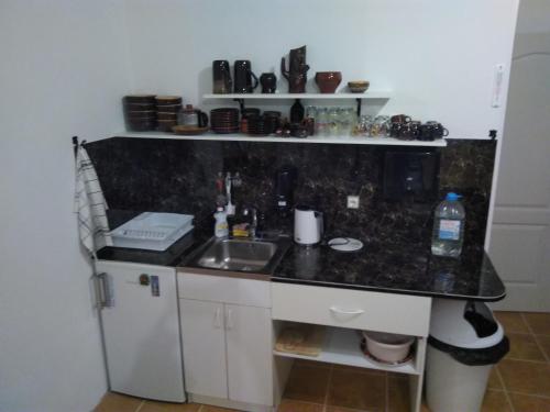 A kitchen or kitchenette at Toma pirts LIELĀ