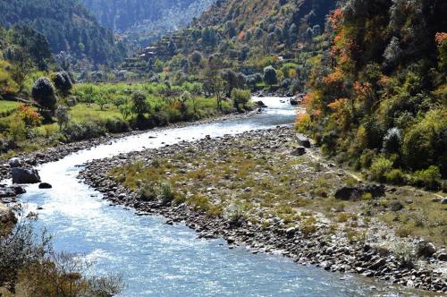 a river flowing through a valley with trees at Tirthan Anglers' Retreat in Banjār