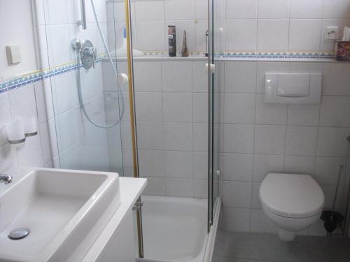 テュービンゲンにあるApartment Huber-Feilのバスルーム(シャワー、トイレ、シンク付)