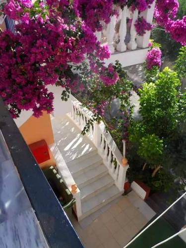 an overhead view of a staircase with pink flowers at Two Brothers Studios Tsilivi Zakynthos in Tsilivi