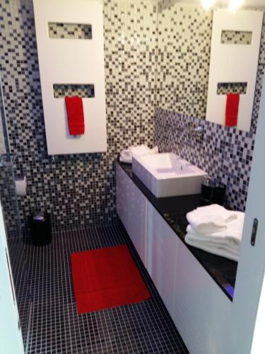 a bathroom with a white sink and a red rug at Le Manoir de Champlan in Grimisuat