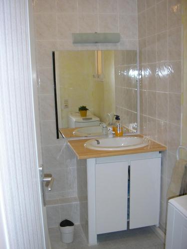 une salle de bain avec un lavabo et un miroir dans l'établissement location studio indépendant, à Sausset-les-Pins