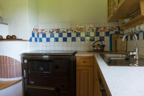 a kitchen with a sink and a stove top oven at Stillbacherhütte in Mariahof