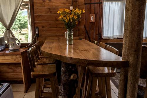 Cabanas Tres Volcanes – Photos 5
