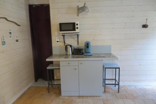 eine Küche mit einer Arbeitsplatte mit einer Mikrowelle und einer Mikrowelle in der Unterkunft Maisonnette (type studio) Indépendante in Montlouis-sur-Loire