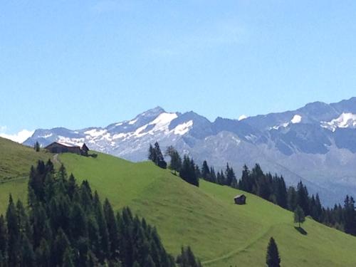 a green hill with snow capped mountains in the background at Gästehaus Anna in Grossarl