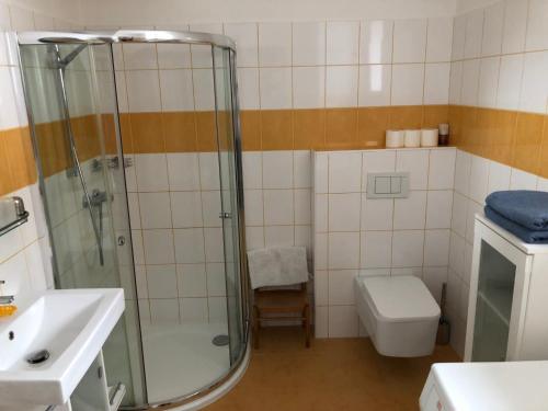 a bathroom with a shower and a toilet and a sink at Pension Na Vyhlídce in Český Krumlov