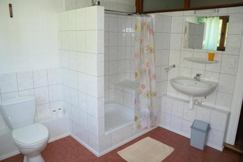 デュルビュイにあるDomaine l'Ecureuil sixのバスルーム(トイレ、シャワー、シンク付)