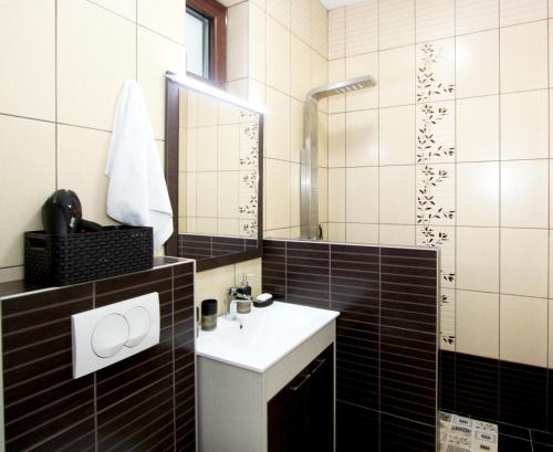 a bathroom with a sink and a mirror at Apartment Iris in Belgrade