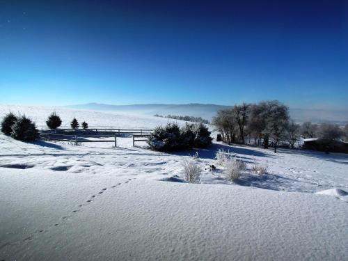 a snow covered field with footprints in the snow at Pension U Sebastiana in Hodousice