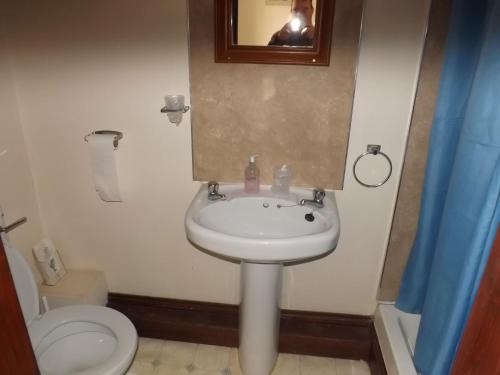een badkamer met een wastafel, een toilet en een spiegel bij Peartree Farm in Aldwincle Saint Peter