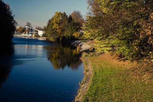 a river with trees on the side of it at Pension Miltom in České Budějovice