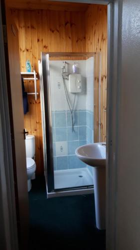een badkamer met een douche en een wastafel bij Victoria Inn in Alston